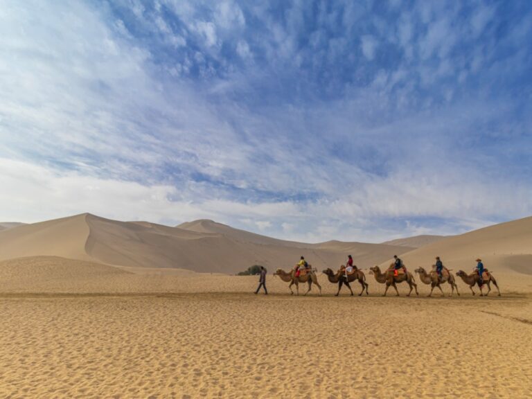 Roaming the Globe: Adventures Await