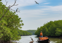 Historical Sites and Places of Attraction in Kendrapara District, Odisha Kendrapara District