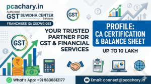 CA Certification Balance Sheet 10 Lakh
