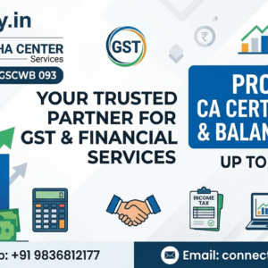 CA Certification Balance Sheet 10 Lakh