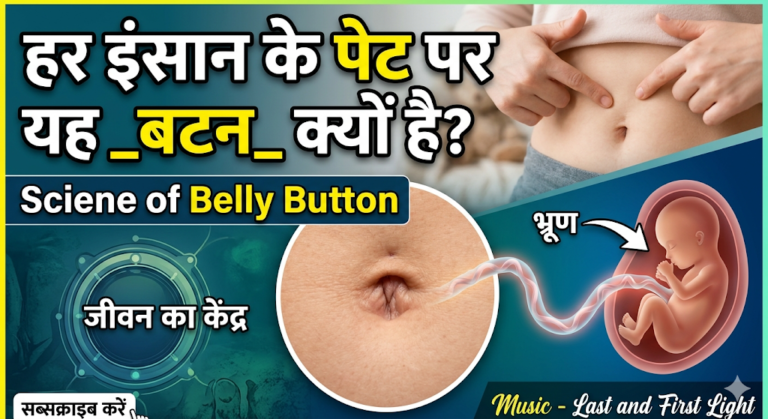 हर इंसान के पेट पर यह _बटन_ क्यों है_ (Science of Belly B… 10-हर-इंसान-के-पेट-पर-यह-_बटन_-क्यों-है_-Science-of-Belly-Button-